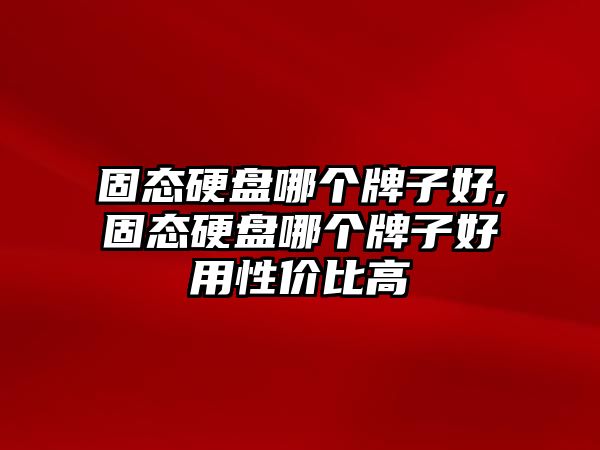 固態(tài)硬盤哪個(gè)牌子好,固態(tài)硬盤哪個(gè)牌子好用性價(jià)比高