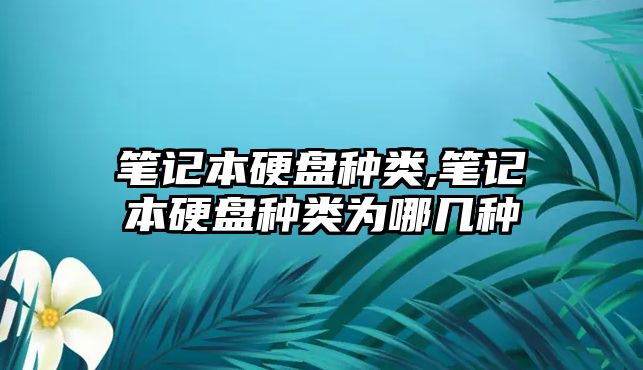 筆記本硬盤種類,筆記本硬盤種類為哪幾種