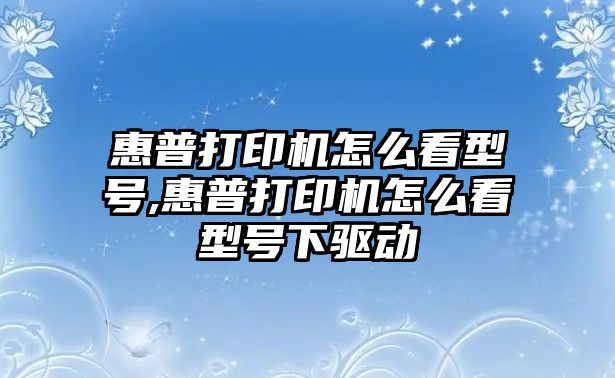 惠普打印機(jī)怎么看型號,惠普打印機(jī)怎么看型號下驅(qū)動