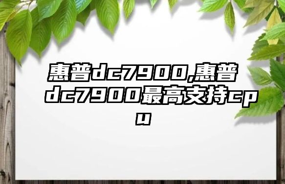 惠普dc7900,惠普dc7900最高支持cpu