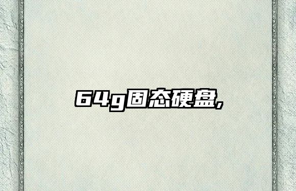 64g固態(tài)硬盤,