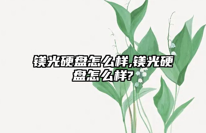 鎂光硬盤(pán)怎么樣,鎂光硬盤(pán)怎么樣?